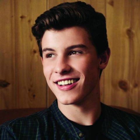 Shawn Mendes vem, mais uma vez, ao Brasil