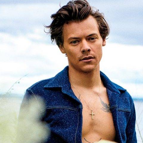 Harry Styles faz show em SP, debaixo de uma chuva torrencial, e entrega tudo!