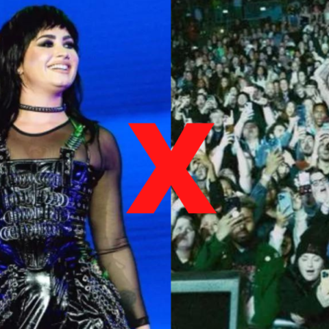 Demi Lovato fornece lanche para fãs em show e brasileiros não curtem a ideia