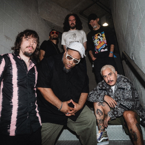 Planet Hemp libera clipe de “Taca Fogo”, assinada pelo  líder da banda, Marcelo D2