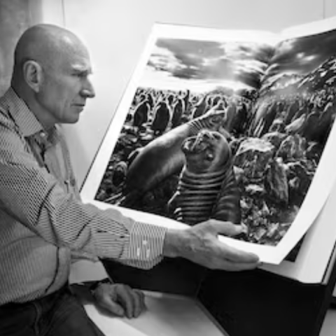 MORRE SEBASTIÃO SALGADO, UM DOS MAIORES FOTÓGRAFOS DO MUNDO