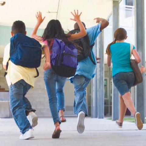 Férias escolares: locais em JF oferecem opções de lazer para crianças